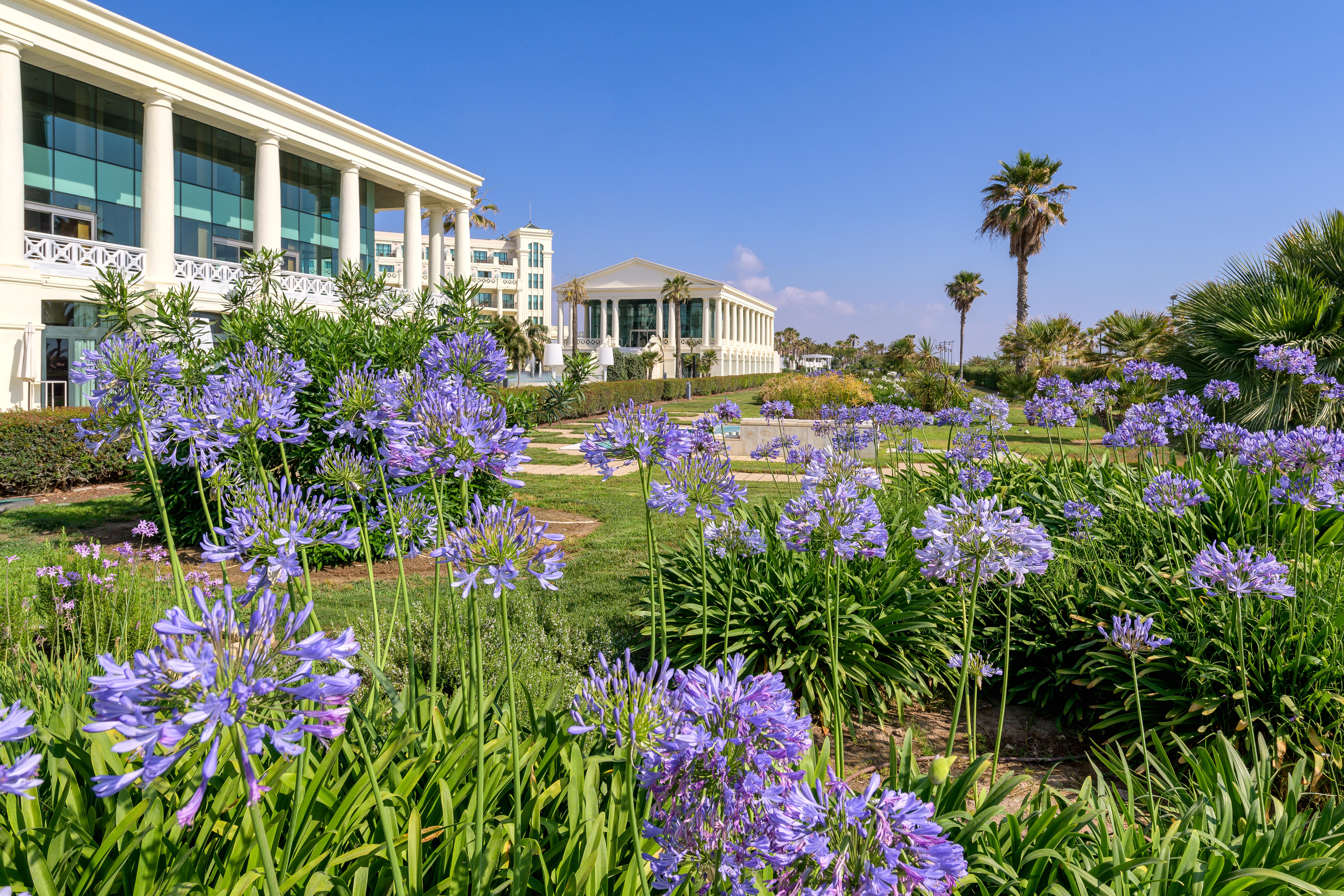 Las Arenas Balneario Resort Valencia Bagian luar foto The campus of the University of Cyprus